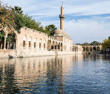 Image Tour
